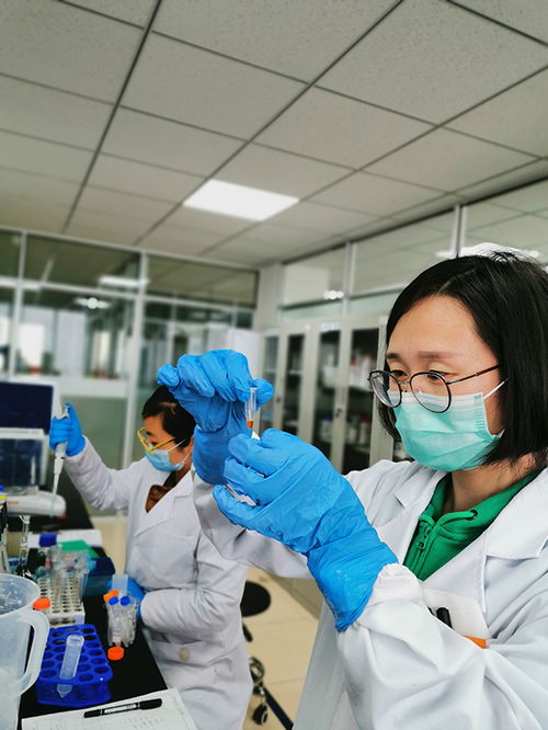 政銀企接力助復(fù)產(chǎn)，煙臺(tái)開發(fā)區(qū)科創(chuàng)服務(wù)生態(tài)圈顯神通